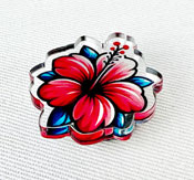 Ejemplo de pin acrílico