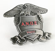 Ejemplo de pin antiguo