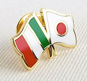 Ejemplo de pin de esmalte duro