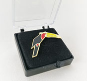 Ejemplo de pin de esmalte duro