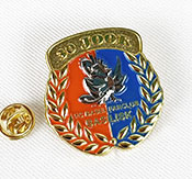 Ejemplo de pin de fundición metálica