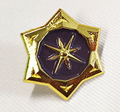 Ejemplo de pin de fundición metálica